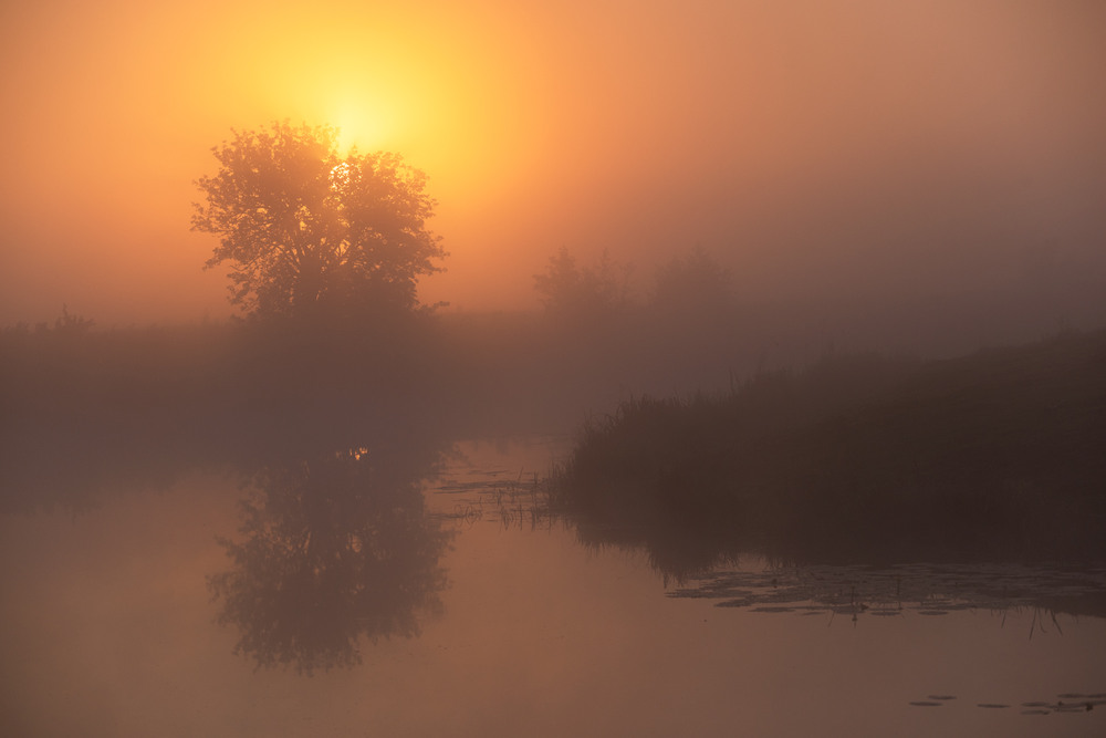 Фотографія світало... / Микола Шахманцір / photographers.ua