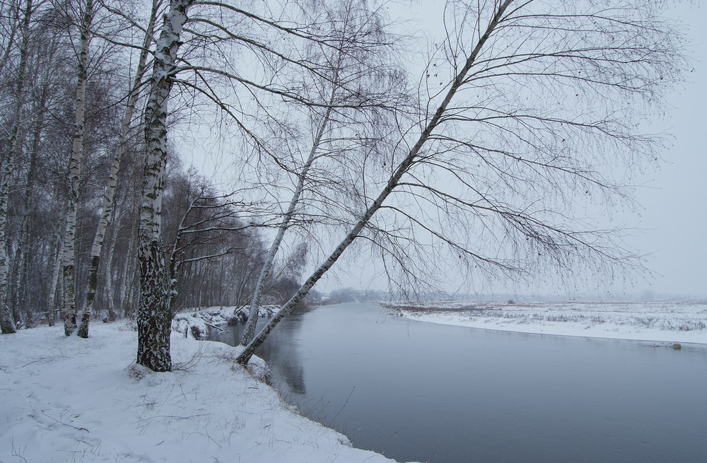 Фотографія ранок справжньої зими...* / Микола Шахманцір / photographers.ua