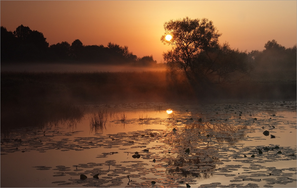 Фотографія ранкова історія біля старого ставочка... / Микола Шахманцір / photographers.ua