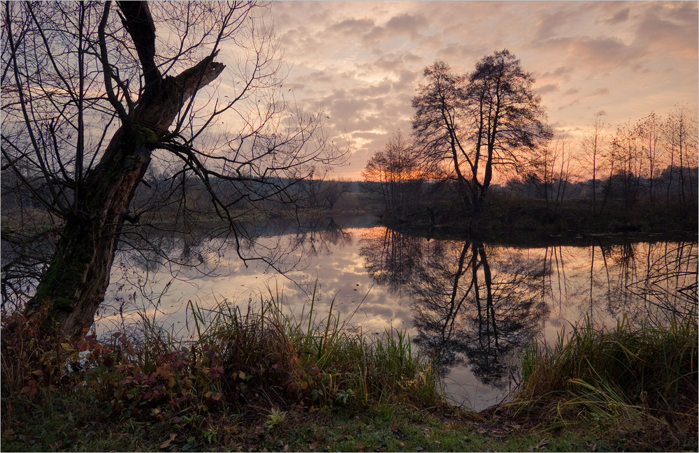 Фотографія осінній ранок на старицях / Микола Шахманцір / photographers.ua