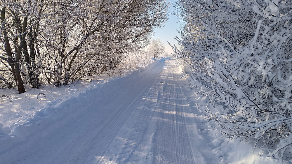 Фотографія *** / Микола Шахманцір / photographers.ua