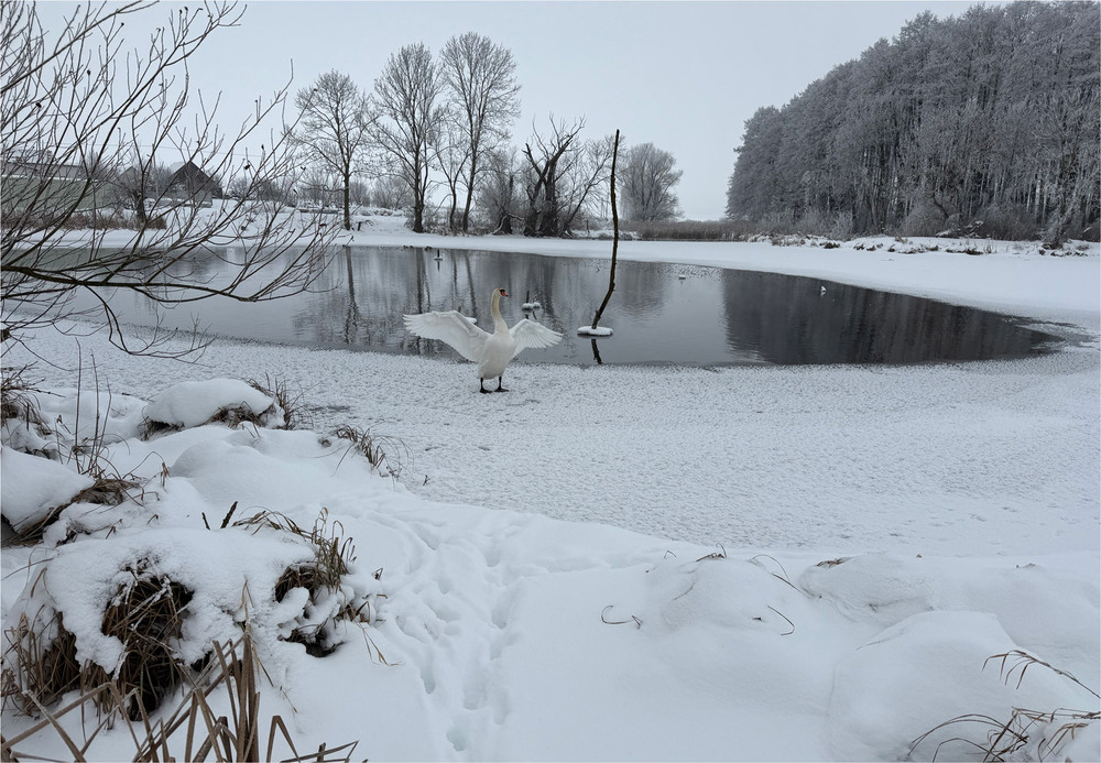 Фотографія **** / Микола Шахманцір / photographers.ua