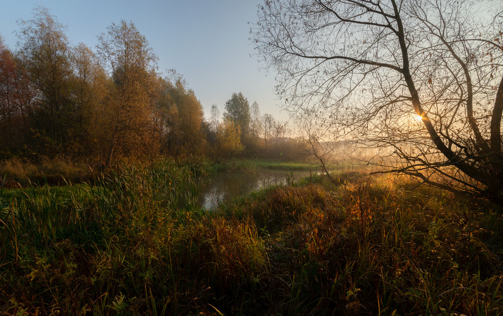 Фотографія * * * / Микола Шахманцір / photographers.ua