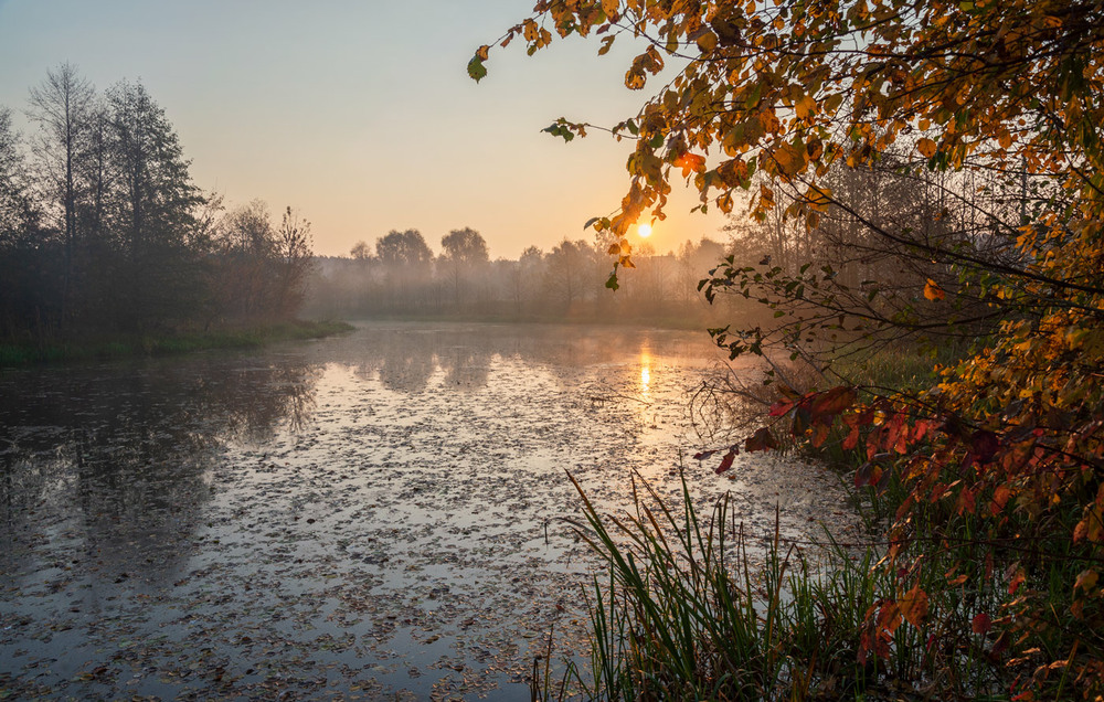 Фотографія * * * / Микола Шахманцір / photographers.ua