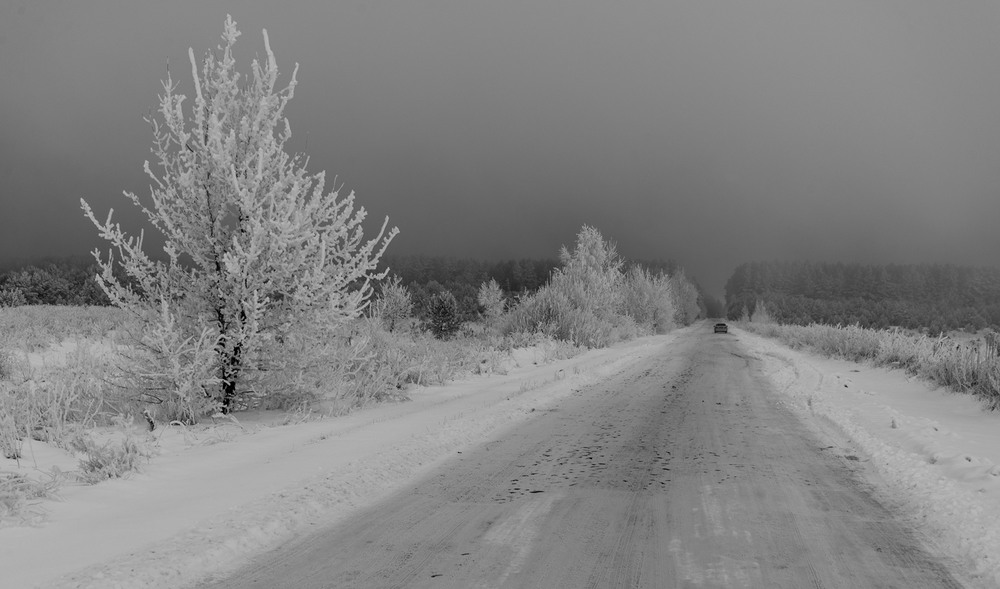 Фотографія була  зима... / Микола Шахманцір / photographers.ua