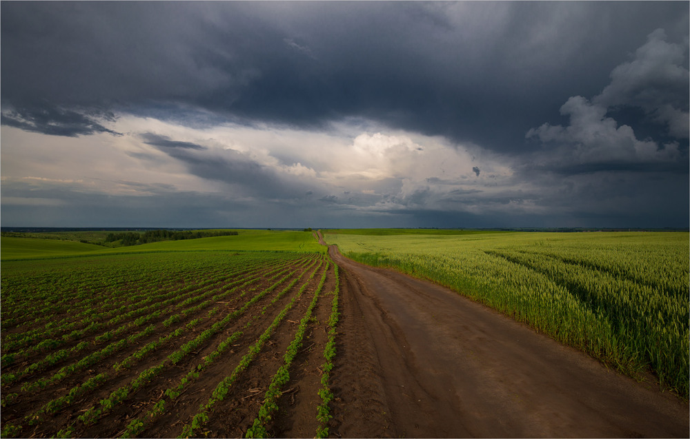 Фотографія * * * / Микола Шахманцір / photographers.ua