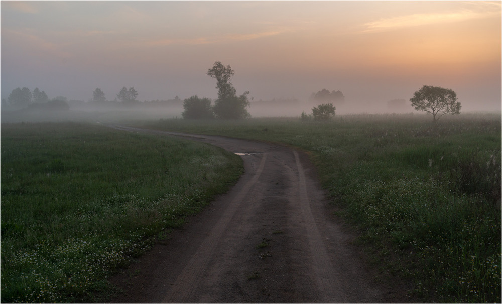 Фотографія * * * / Микола Шахманцір / photographers.ua