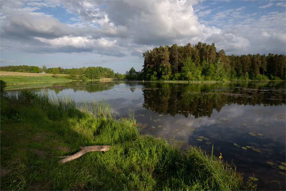 Фотографія ***** / Микола Шахманцір / photographers.ua