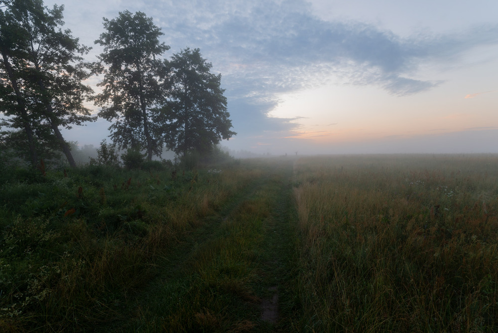 Фотографія * * * / Микола Шахманцір / photographers.ua