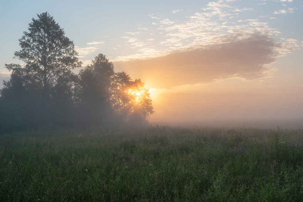 Фотографія л і т о / Микола Шахманцір / photographers.ua