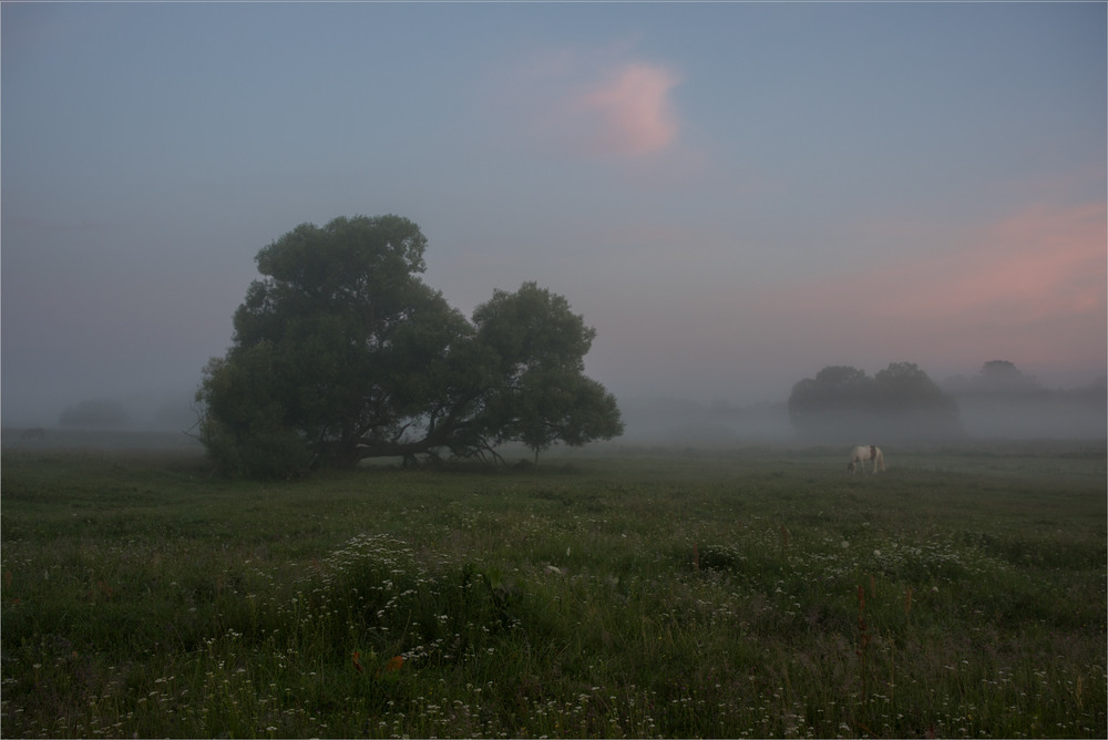 Фотографія * * * / Микола Шахманцір / photographers.ua