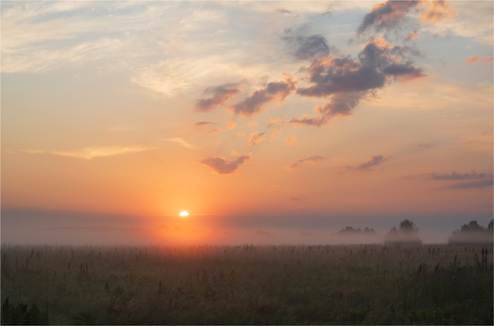 Фотографія * * * / Микола Шахманцір / photographers.ua