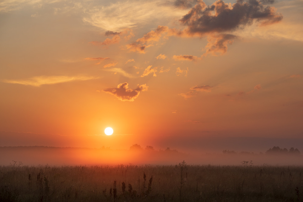 Фотографія * * * / Микола Шахманцір / photographers.ua