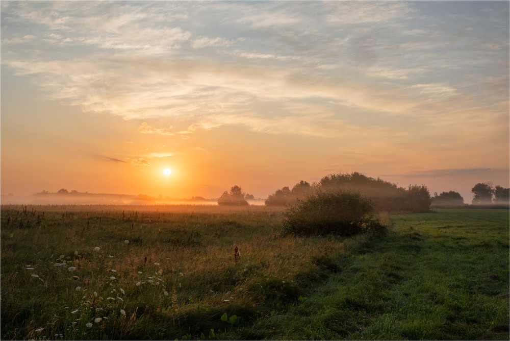 Фотографія * * * / Микола Шахманцір / photographers.ua