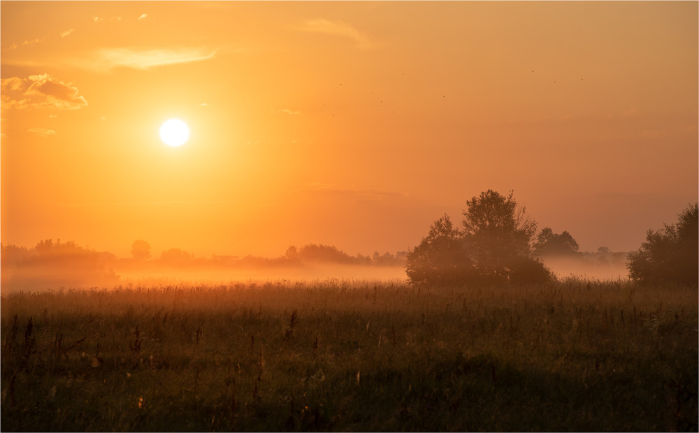 Фотографія * * * / Микола Шахманцір / photographers.ua