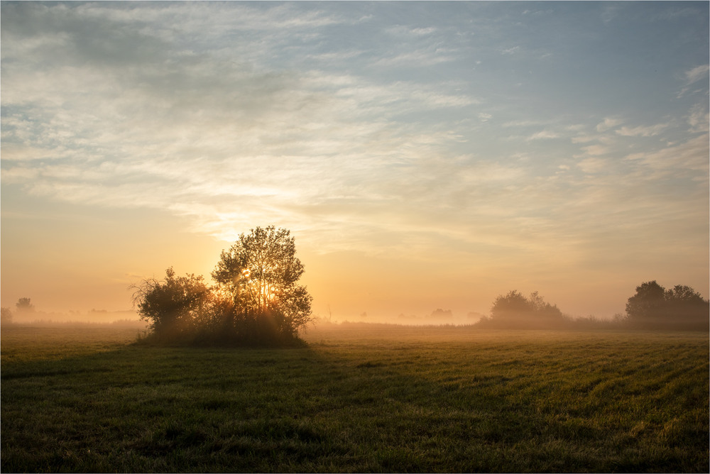 Фотографія * * * / Микола Шахманцір / photographers.ua