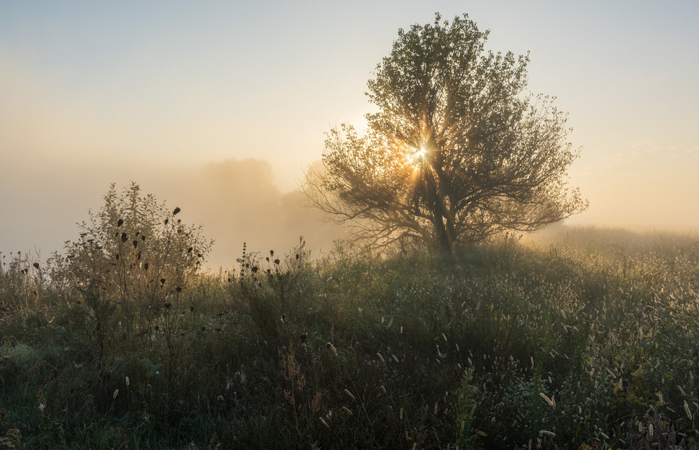 Фотографія * * * / Микола Шахманцір / photographers.ua