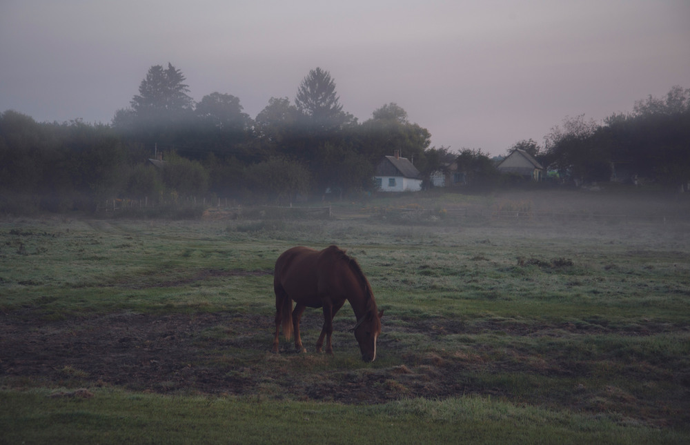 Фотографія * * * / Микола Шахманцір / photographers.ua
