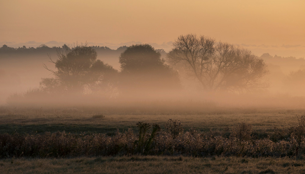 Фотографія * * * / Микола Шахманцір / photographers.ua