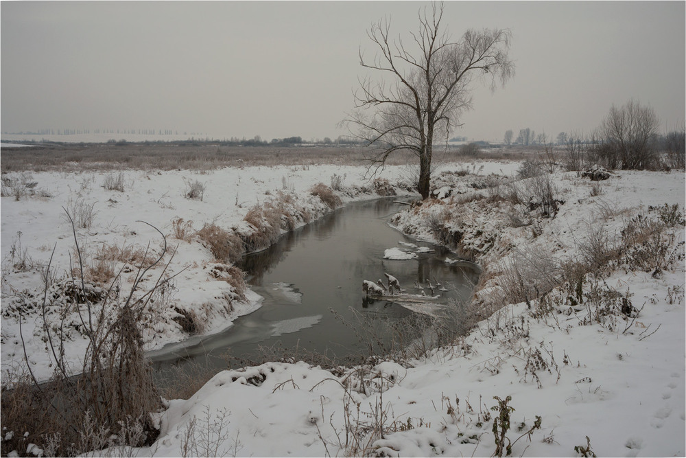 Фотографія * * * / Микола Шахманцір / photographers.ua