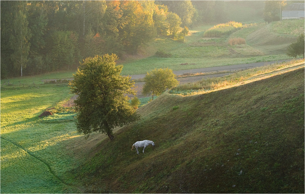 Фотографія -осенним утром за селом- / Микола Шахманцір / photographers.ua