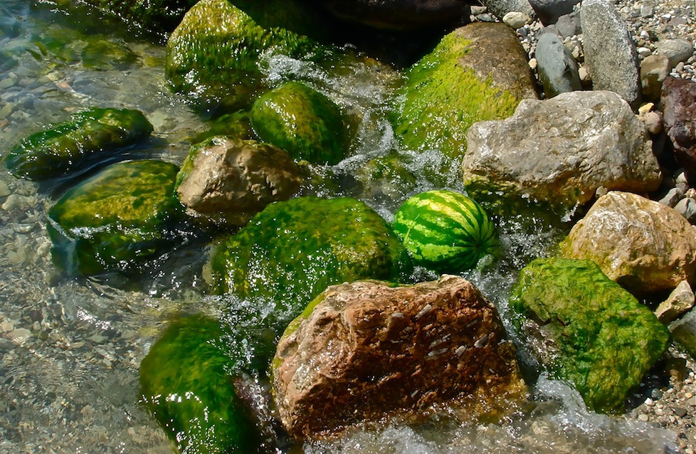 Фотографія арбуз и море / Alina Sedova / photographers.ua