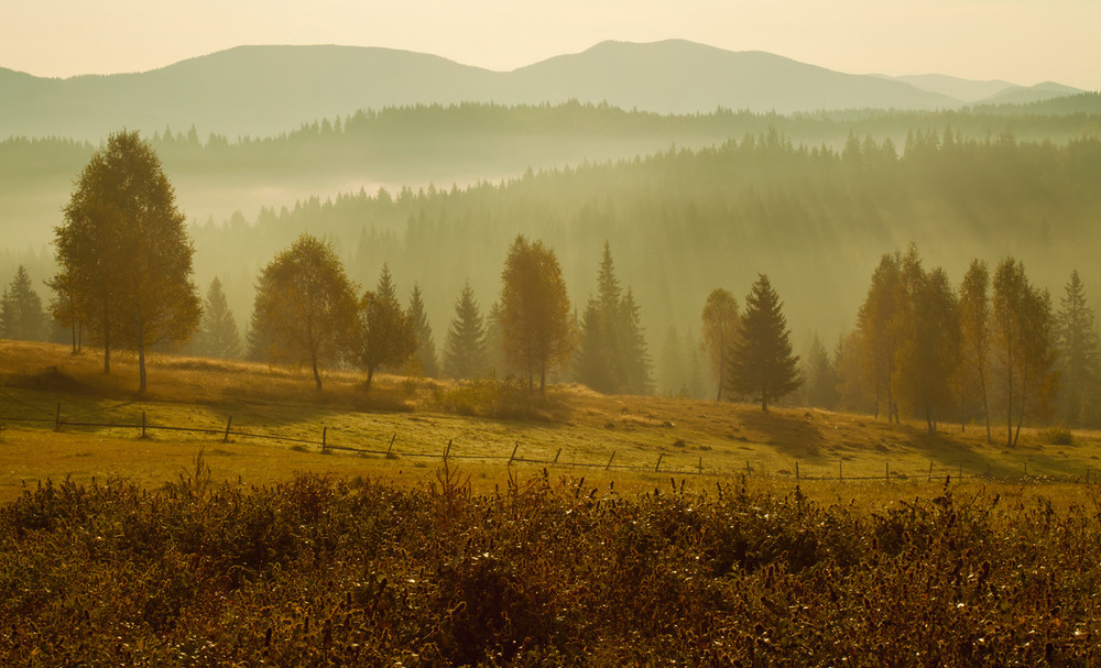 Фотографія Уж осень близится... / Михаил Глаголев / photographers.ua