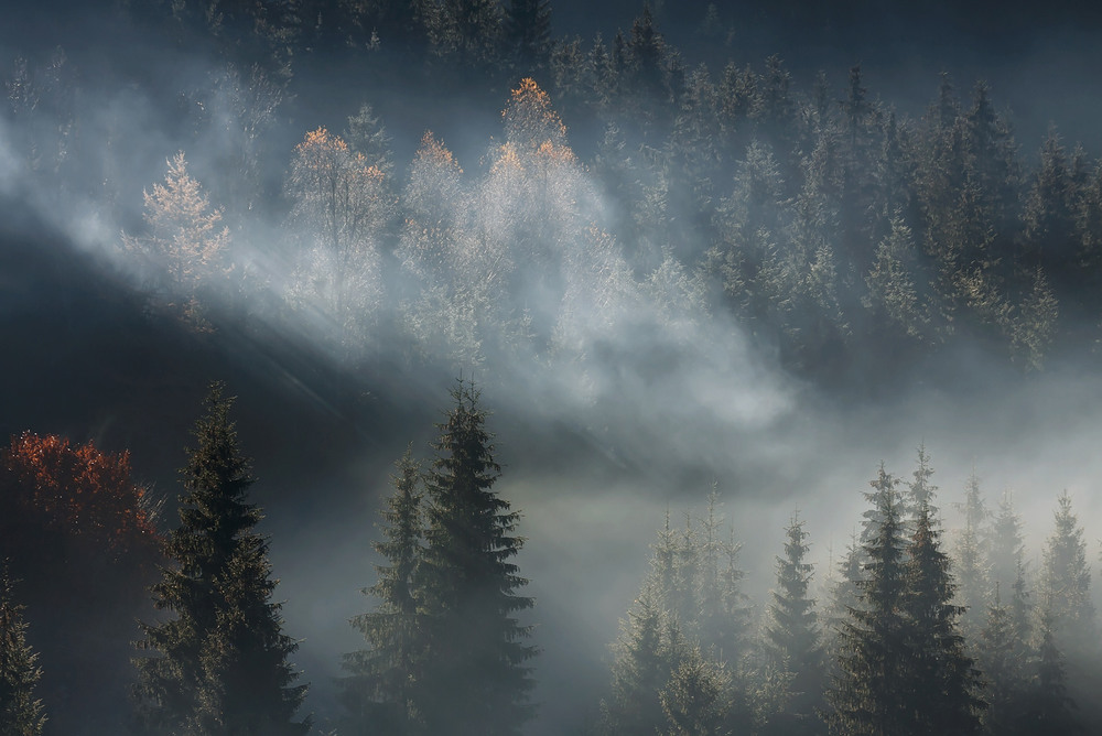 Фотографія Осенние забавы... / Михаил Глаголев / photographers.ua