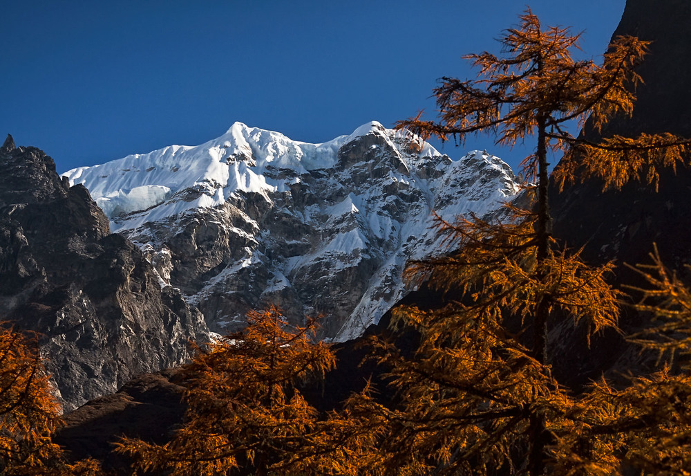 Фотографія Осень в Гималаях... / Михаил Глаголев / photographers.ua