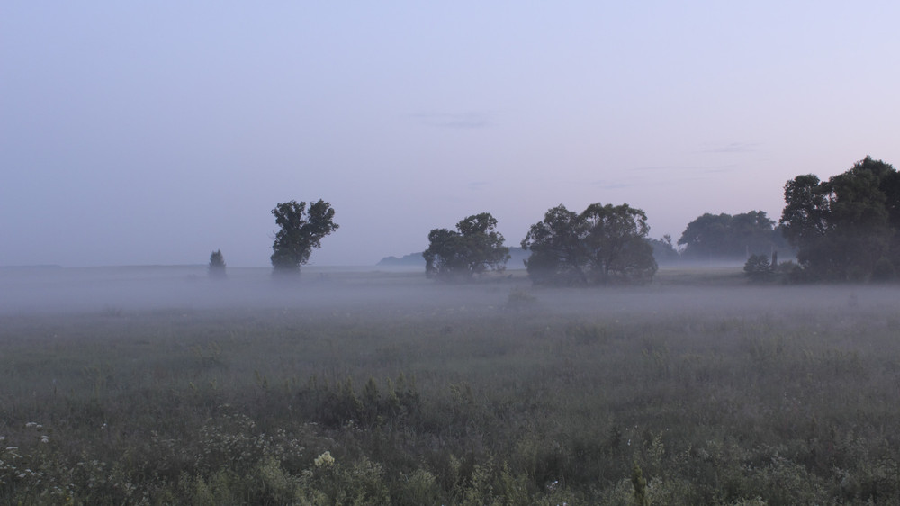Фотографія // ранковий туман / Dmitriy Svetlichniy / photographers.ua