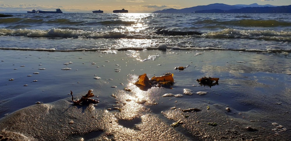 Фотографія Якось увечері на березі океану. / Ольга / photographers.ua