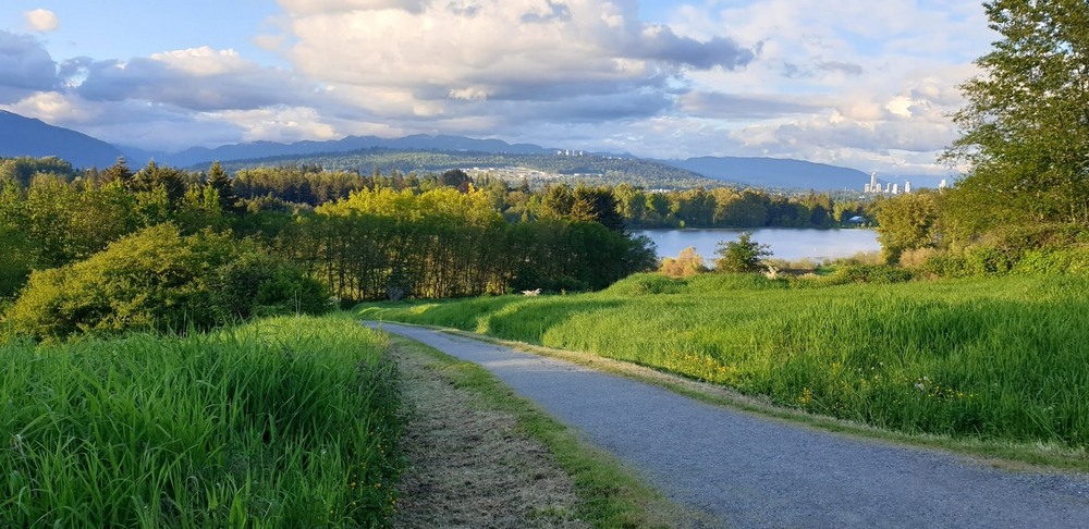 Фотографія Довга дорога в гори. / Ольга / photographers.ua
