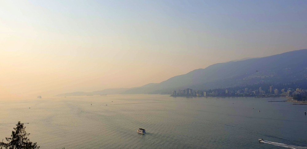 Фотографія Туманний захід сонця. / Ольга / photographers.ua