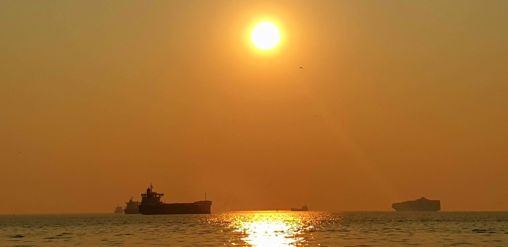 Фотографія Золотий захід сонця. / Ольга / photographers.ua