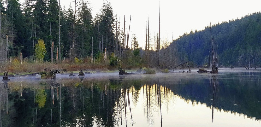 Фотографія На озерi. / Ольга / photographers.ua