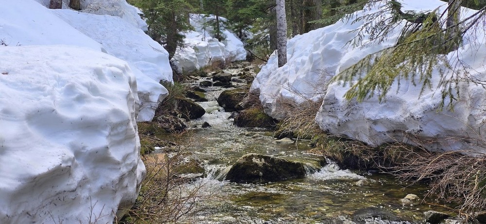 Фотографія Струмок. / Ольга / photographers.ua