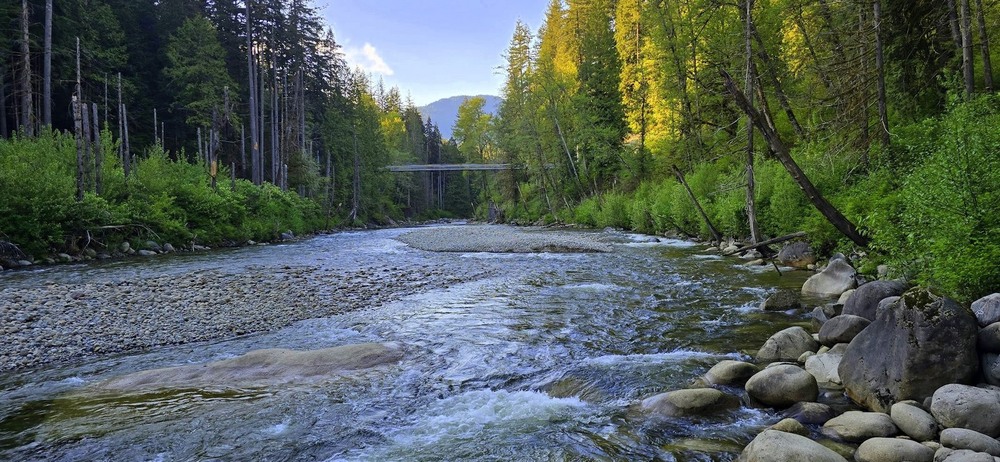 Фотографія Коли в горах розтанув сніг. / Ольга / photographers.ua