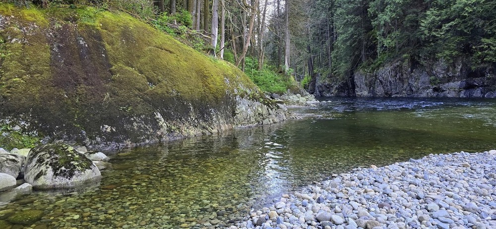 Фотографія Тече вОда, тече бистра... / Ольга / photographers.ua
