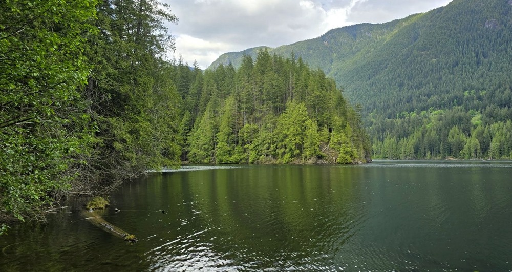 Фотографія Чудовий куточок природи. / Ольга / photographers.ua