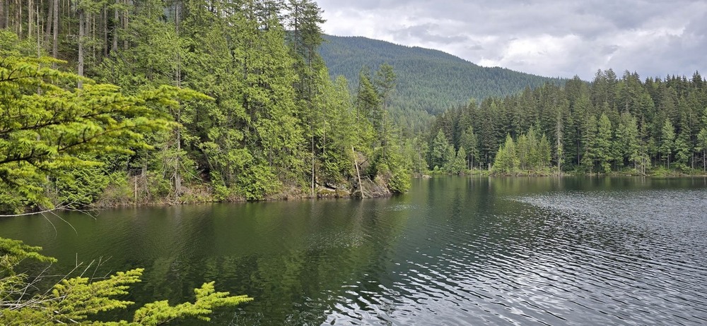 Фотографія Чудовий куточок природи - 2. / Ольга / photographers.ua