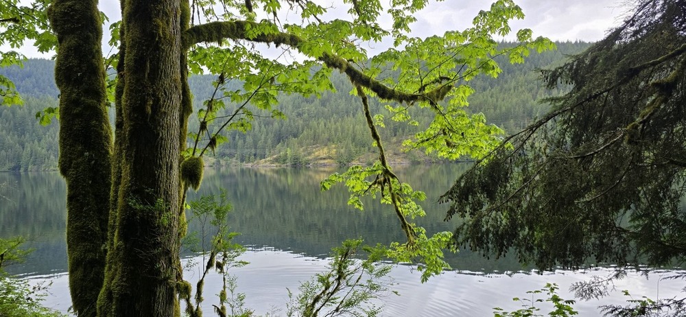 Фотографія Скоро весна. / Ольга / photographers.ua