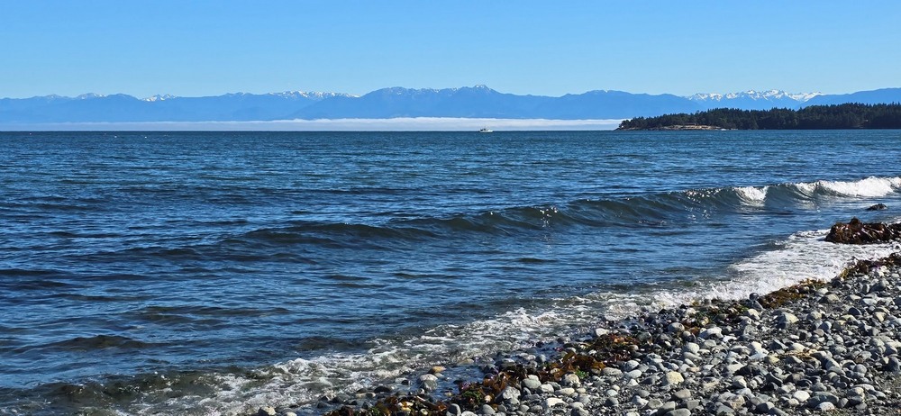 Фотографія Про білий кораблик. / Ольга / photographers.ua