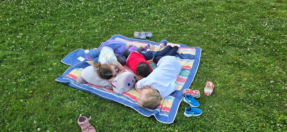 Фотографія Вiдпочинок на травi. / Ольга / photographers.ua