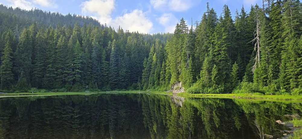 Фотографія Відображення. / Ольга / photographers.ua