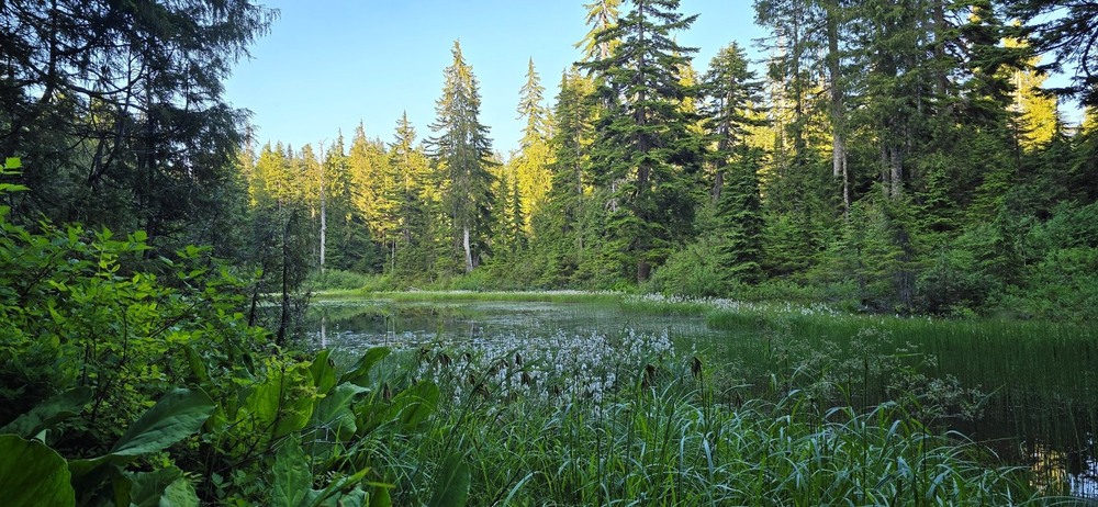 Фотографія Тиша та спокiй. / Ольга / photographers.ua