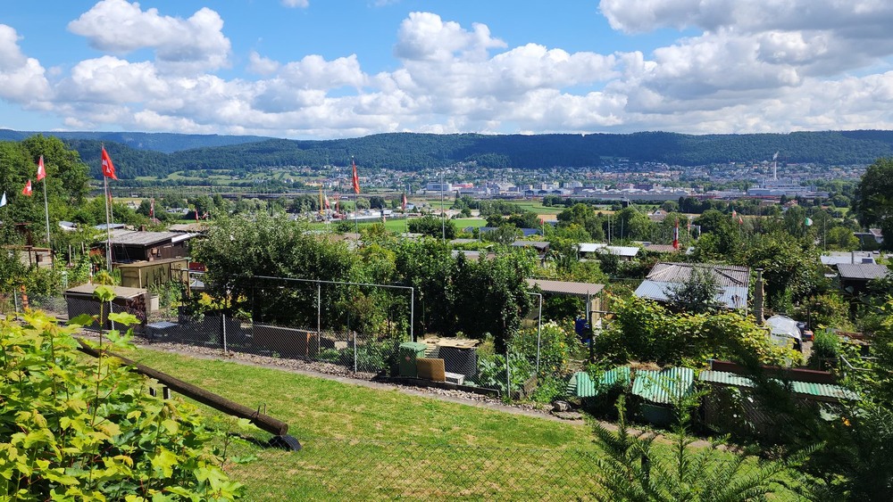 Фотографія Дiтiкон. Дачi. / Ольга / photographers.ua