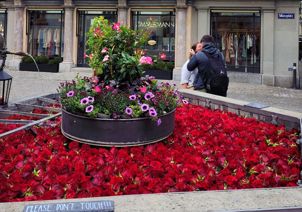 Фотографія Чарiвний поцiлунок. / Ольга / photographers.ua