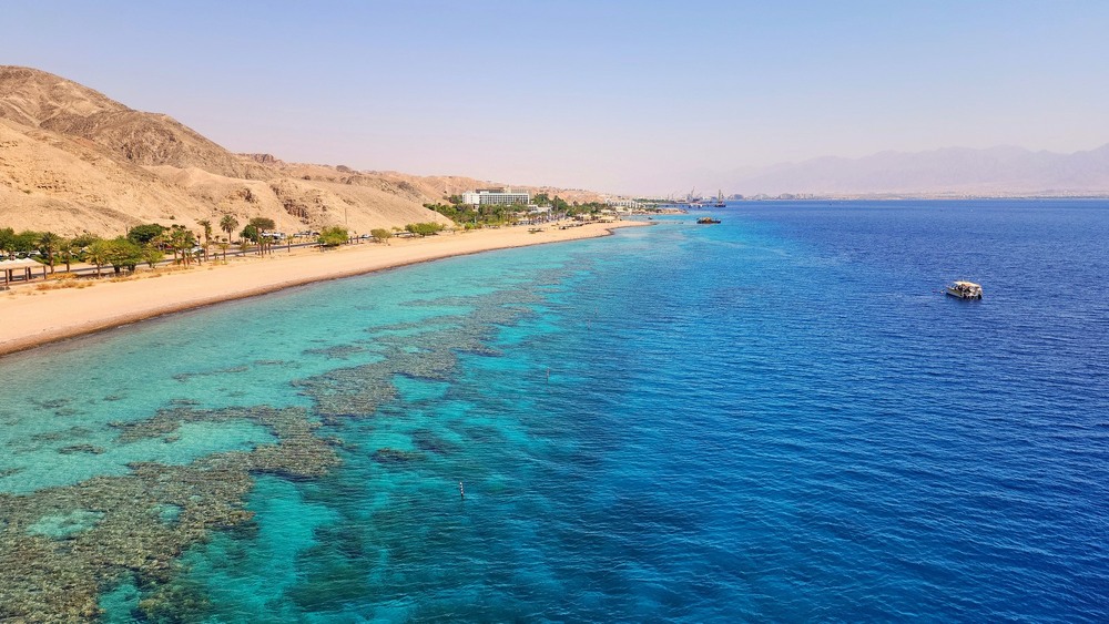 Фотографія Кораловий риф. / Ольга / photographers.ua