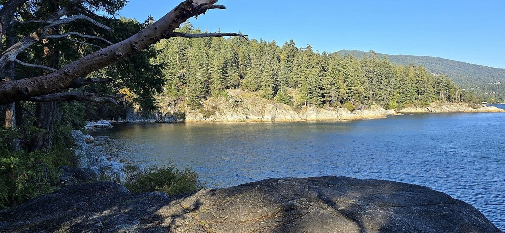 Фотографія На озерi. / Ольга / photographers.ua