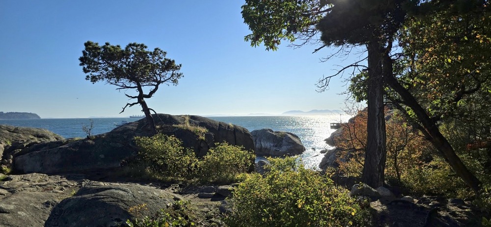 Фотографія Про срібну доріжку. Продовження. / Ольга / photographers.ua